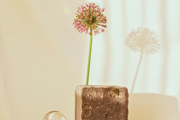 Achtsamkeit Seitenbild